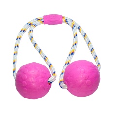 Brinquedo Truqys Duo Ball Pet Rosa - G