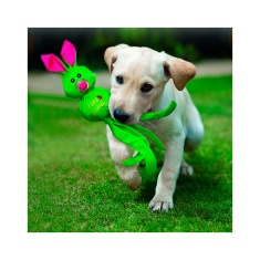 Brinquedo Kong para Cães Wubba Balistic Friend - Cores Sortidas