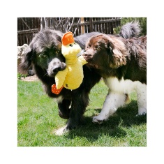 Brinquedo Kong para Cães Comfort Jumbo Assort Extra Grande - Cores Sortidas