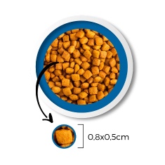 Ração Finotrato Prime para Cães Sênior de Porte Pequeno e Médio - 10,1 kg