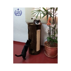 Brinquedo Arranhador São Pet para Gatos Torre Marrom