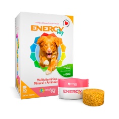 Suplemento Energy Dog Botupharma 210g
