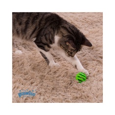 Brinquedo Pawise Bolinha de Plástico para Gatos - Cores Sortidas
