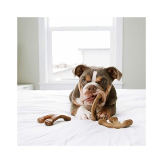 Benebone Puppy 2-Pack Bacon para Cães Filhotes