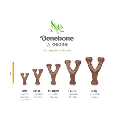 Benebone Puppy 2-Pack Bacon para Cães Filhotes