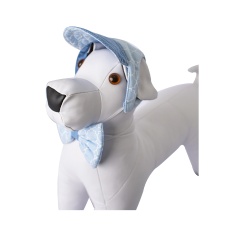 Boné Modernpet Azul Bebê para Cães - Estampas Sortidas