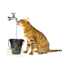 Fonte Cat My Pet Magicat Preto Bivolt para Gatos