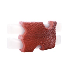 Brinquedo Chalesco Costelinha para Cães