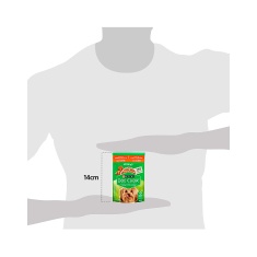 Ração Úmida Dog Chow Sabor Carne para Cães Adultos de Raças Pequenas- 100g
