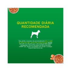 Ração Úmida Dog Chow Sachê para Cães Adultos de Raças Pequenas sabor Salmão 100g