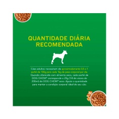 Ração Úmida dog Chow Sachê para Cães Adultos sabor Frango 100g