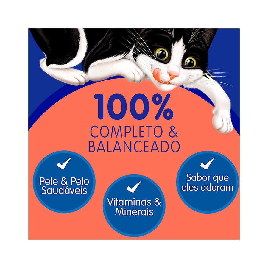 Ração Úmida Nestlé Purina Felix Fantastic Deli para Gatos Adultos Sabor Carne 85g