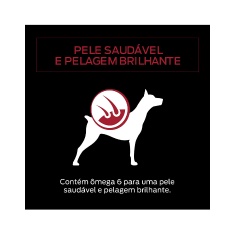 Ração Úmida Pro Plan para Cães Adultos Sachê sabor Frango 100g
