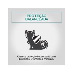 Ração Úmida Pro Plan para Gatos Kitten Sachê sabor Frango 85g