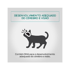 Ração Úmida Pro Plan para Gatos Kitten Sachê sabor Frango 85g