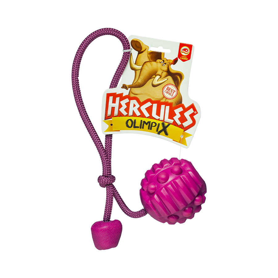 Brinquedo Bola Porta Petisco com Corda OlimpiX Carne Roxo para Cães Hercules