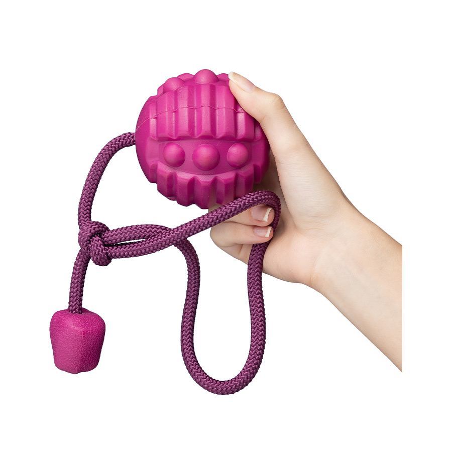 Brinquedo Bola Porta Petisco com Corda OlimpiX Carne Roxo para Cães Hercules