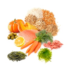 Alimento Prodac Betta Food para Peixes