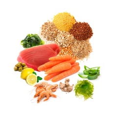 Alimento Prodac Color para Peixes - 20 g
