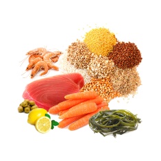 Alimento Prodac Spirulina Flakes para Peixes 50g