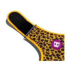 Peitoral Zee.Dog Air Mesh Honey para Cães