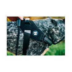 Peitoral Zee.Dog FlyHarness Gotham para Cães