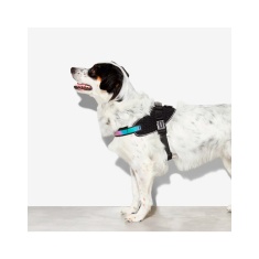 Peitoral Zee.Dog FlyHarness Gotham para Cães