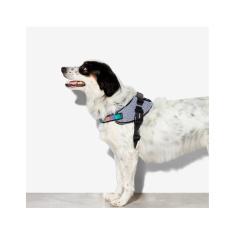 Peitoral Zee.Dog FlyHarness Urban para Cães