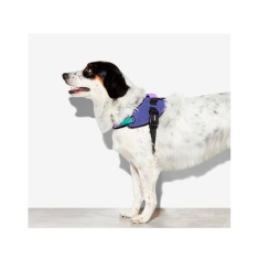 Peitoral Zee.Dog FlyHarness Wicked para Cães