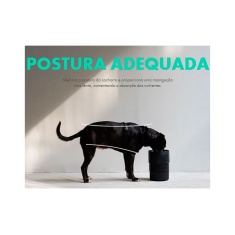 Comedouro Zee.Dog Bowl Bordeau para Cães