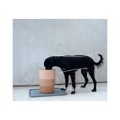 Comedouro Zee.Dog Bowl Sand para Cães