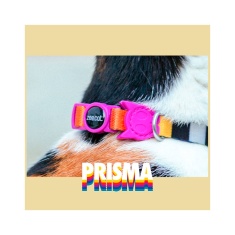 Coleira Zee.Cat Prisma para Gatos