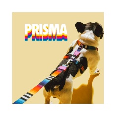Coleira Zee.Dog Prisma para Cães