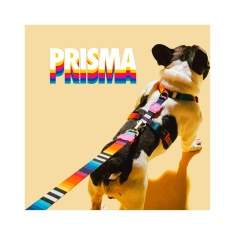 Peitoral Zee.Dog Prisma para Cães