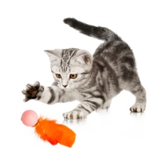 Brinquedo Plumas e Penas Bolinha Fishing para Gatos - Cores Sortidas