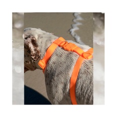 Peitoral H Zee.Dog Neopro Tangerine Laranja para Cães