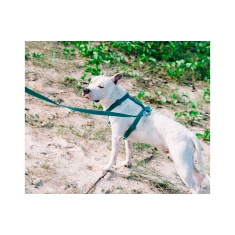 Peitoral H Zee.Dog Neopro Amazônia Verde para Cães