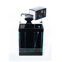 Kit Meu Primeiro Aquário 20L Aquaterrário
