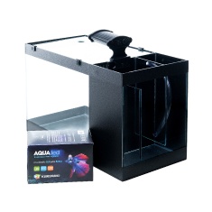 Kit Meu Primeiro Aquário 20L Aquaterrário