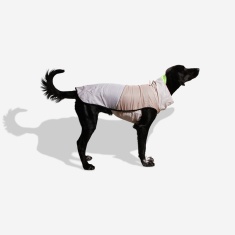 Capa de Chuva Zee.Dog Oatmeal para Cães