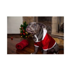 Roupa de Natal Modernpet para Cães e Gatos