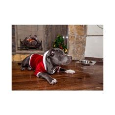 Roupa de Natal Modernpet para Cães e Gatos