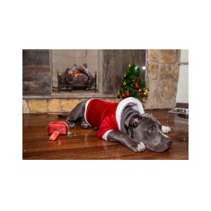 Roupa de Natal Modernpet para Cães e Gatos