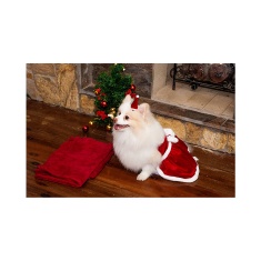 Vestido de Natal Modernpet para Cães e Gatos