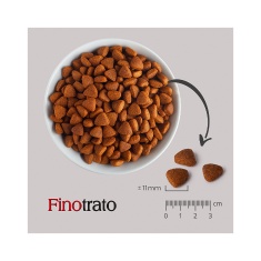 Ração Finotrato para Cães Adultos de Porte Pequeno e Médio Sabor Carne - 10,1 kg