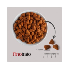 Ração Finotrato para Cães Adultos Sabor Carne - 15 kg