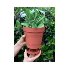 Vaso West Garden Porto Acoplado Terracota - Tam 4