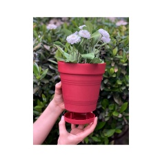 Vaso West Garden Porto Acoplado Vermelho