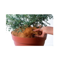 Fibra de Coco West Garden 200 g