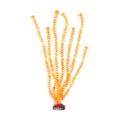 Enfeite Maxxi Planta AP-20 com 50cm - Modelos Sortidos
